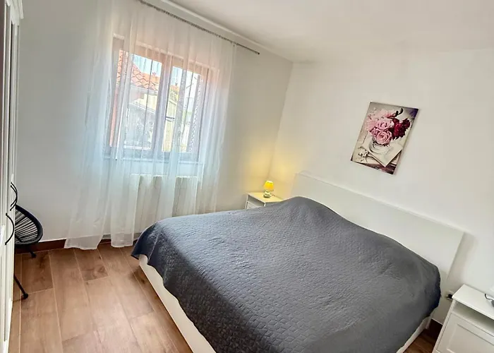 Charming In Apartment